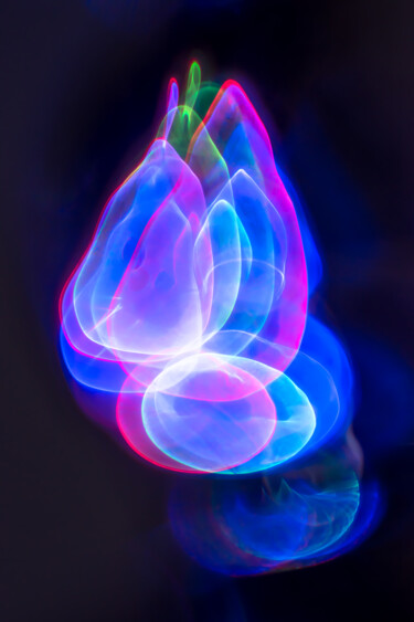 "Nature morte cosmiq…" başlıklı Fotoğraf Rachèd Zarraï Miladi (Le mutagraphe) tarafından, Orijinal sanat