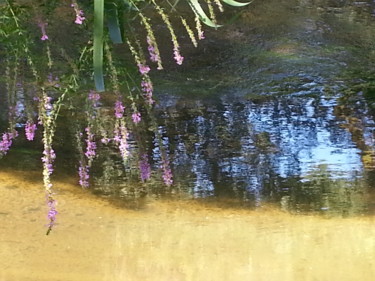 Reflets de Sauldre 2