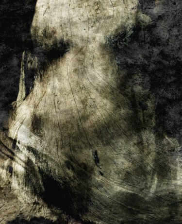 摄影 标题为“XYX....123” 由Philippe Berthier, 原创艺术品, 操纵摄影