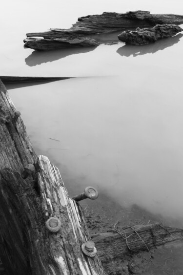 Photography titled "Submerged Wood" by Elke Matthaeus, Original Artwork