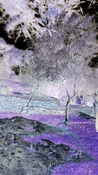 Digital Arts titled "SPRING IN PROVENCE" by Grafi, Original Artwork