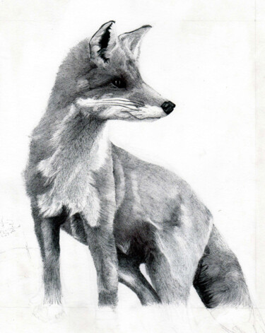 Dessin intitulée "renard" par Arsla Matthieu, Œuvre d'art originale, Stylo à bille