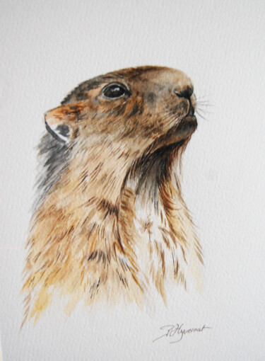 marmotte - aquarelle signée 绘画 标题为“marmotte - aquarell…” 由Patricia Giroldini Hyvernat, 原创艺术品, 墨