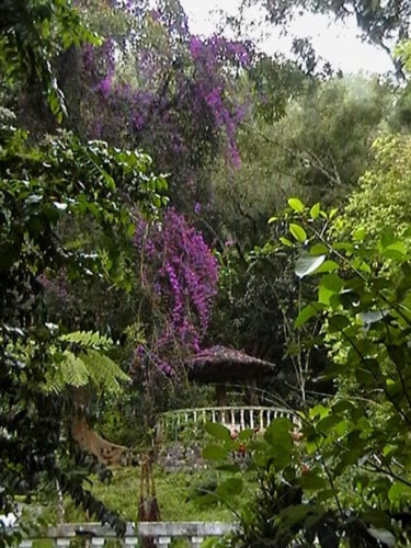 제목이 "gazebo.jpg"인 사진 Suleiman로, 원작