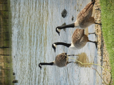 Sortie en famille
