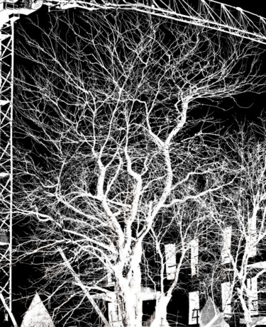 Photography titled "the answer my frien…" by Richard Raveen Chester, Original Artwork, Analog photography