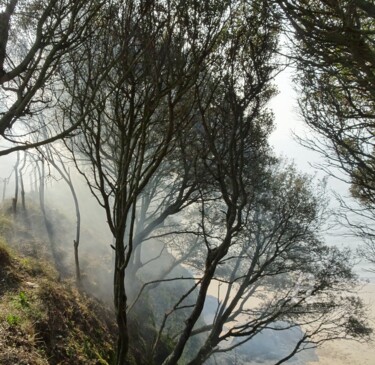 Photography titled "BRUME DE MARS .jpg" by Annick Couëdel, Original Artwork