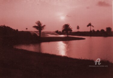 Photography titled "The Setting Sun" by Michela Curtis, Original Artwork