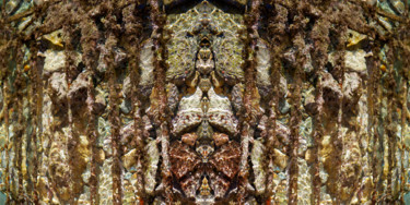 Arts numériques intitulée "Acquaugen" par M. Rignol Rogliano, Œuvre d'art originale, Photo montage