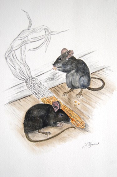 Painting titled "rats noirs - dessin…" by Patricia Giroldini Hyvernat, Original Artwork, Watercolor