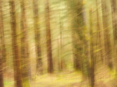 Photography titled "au fond des bois...." by Philippe Berthier, Original Artwork, Digital Photography