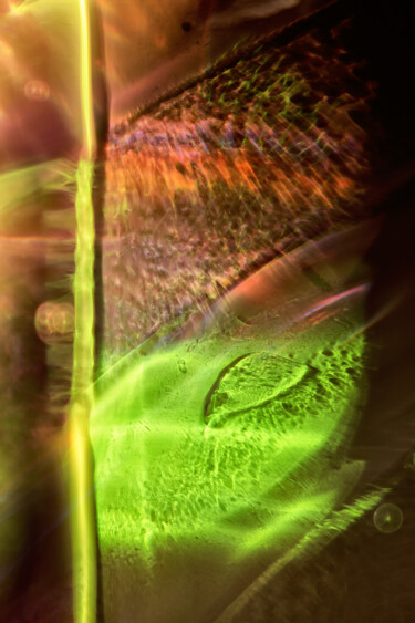 Photographie intitulée "fossile lumineux." par Rachèd Zarraï Miladi (Le mutagraphe), Œuvre d'art originale