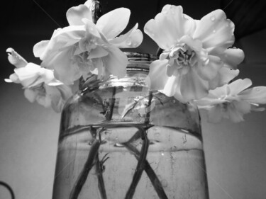 Fotografía titulada "vida" por Gabiless, Obra de arte original