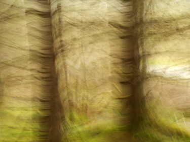 Partie de cache-cache....A vous de jouer... Photography titled "Partie de cache-cac…" by Philippe Berthier, Original Artwork, Digital Photography