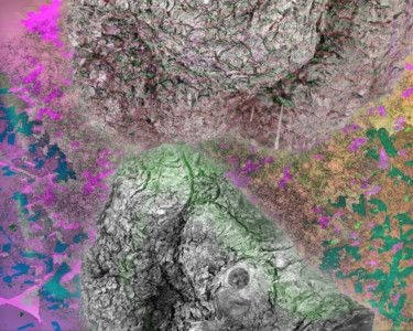 Arts numériques intitulée "duotopedemineraux1.…" par Maxime Gourgues, Œuvre d'art originale