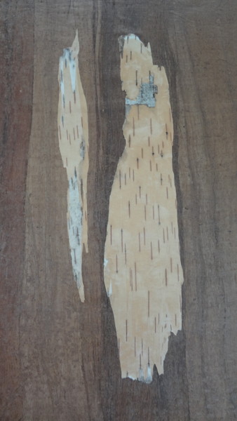 Peinture intitulée "Jon'or" par Martine Capdeville-Lacomme, Œuvre d'art originale