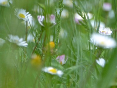 Photographie intitulée "Prairie" par Jean Paul Rosso, Œuvre d'art originale