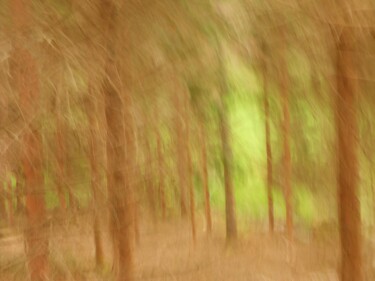 Photography titled "VERT...." by Philippe Berthier, Original Artwork, Digital Photography