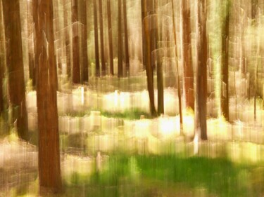 Photography titled "Quand la photograph…" by Philippe Berthier, Original Artwork, Digital Photography