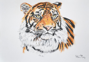 图画 标题为“tiger” 由Hiten Mistry, 原创艺术品, 其他