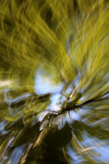 Photography titled "Fleur de Vie" by François Tondeur, Original Artwork
