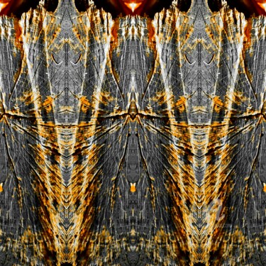 Photographie intitulée "L' Araignée P.U. N°…" par Régis, Œuvre d'art originale