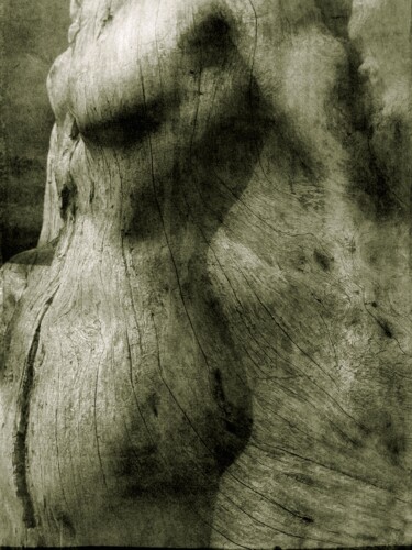 摄影 标题为“Trace...........” 由Philippe Berthier, 原创艺术品, 数码摄影