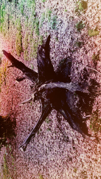 Photography titled "Sur un air de danse…" by Grafi, Original Artwork