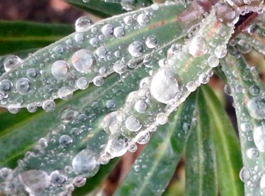 After Rain