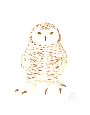 Painting titled "Snowy Owl" by Michela Curtis, Original Artwork, Oil