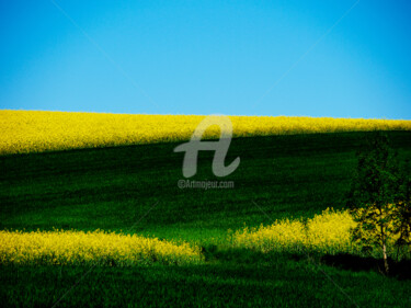 Photography titled "COLORED LANDSCAPE" by Jb Photoart, Original Artwork, Non Manipulated Photography