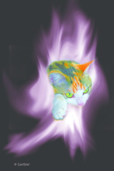 Photographie intitulée "Chatte vortex" par Chantal Gauthier, Œuvre d'art originale