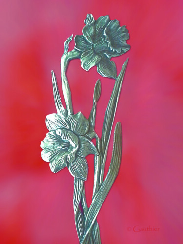 Photographie intitulée "Etain de jonquilles" par Chantal Gauthier, Œuvre d'art originale