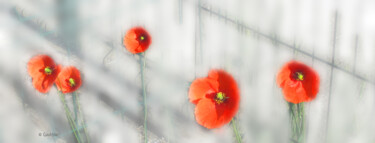 Coquelicots en gare Photographie intitulée "Coquelicots en gare" par Chantal Gauthier, Œuvre d'art originale