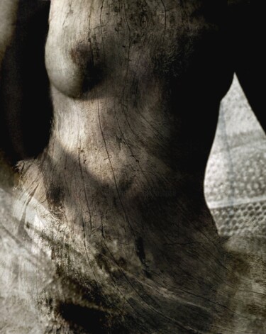 摄影 标题为“Robe du Soir......” 由Philippe Berthier, 原创艺术品, 操纵摄影