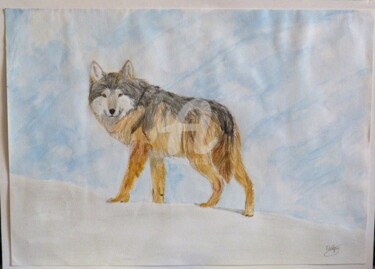 Dessin intitulée "Loup" par Mylène Delpy, Œuvre d'art originale, Crayon