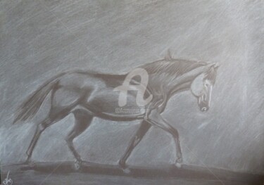 Dessin intitulée "Cheval noir" par Mylène Delpy, Œuvre d'art originale, Crayon