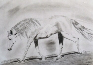 Dessin intitulée "Cheval espagnol" par Mylène Delpy, Œuvre d'art originale, Fusain