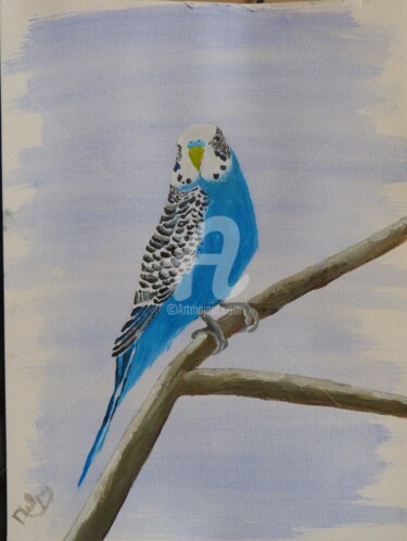 Peinture intitulée "Perruche bleue" par Mylène Delpy, Œuvre d'art originale, Gouache