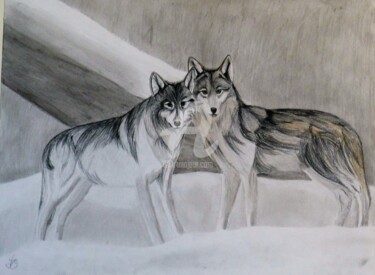 Dessin intitulée "Couple de loups" par Mylène Delpy, Œuvre d'art originale, Crayon