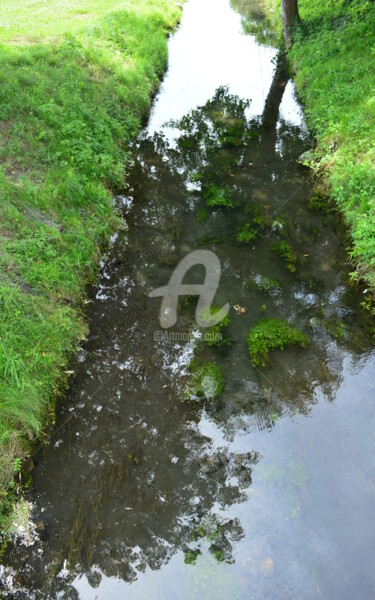 Photographie intitulée "Reflets" par Renaud Klumpp, Œuvre d'art originale, Photographie numérique