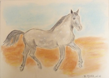 caballo.jpg