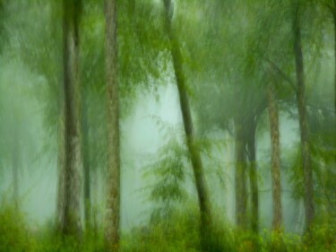Arbres dans la brume........... Photography titled "Arbres dans la brum…" by Philippe Berthier, Original Artwork, Digital Photography