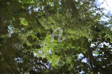 Photographie intitulée "Reflet" par Renaud Klumpp, Œuvre d'art originale, Photographie numérique