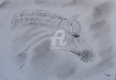 Dessin intitulée "Cheval arabe" par Mylène Delpy, Œuvre d'art originale, Fusain