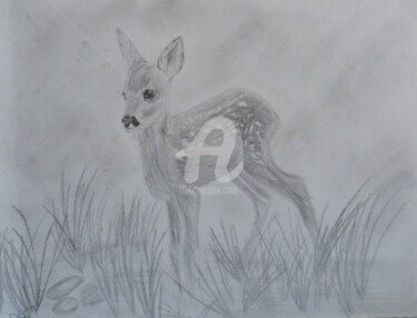 Dessin intitulée "Jeune chevreuil" par Mylène Delpy, Œuvre d'art originale, Crayon