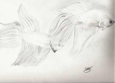 Dessin intitulée "Deux combattants du…" par Mylène Delpy, Œuvre d'art originale, Crayon