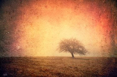Photographie intitulée "Quiet contemplation" par Janek Sedlar, Œuvre d'art originale, Photographie numérique