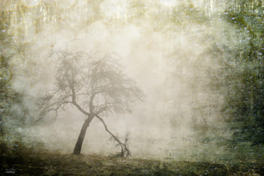 Photographie intitulée "silence-witness-of-…" par Janek Sedlar, Œuvre d'art originale, Photographie numérique
