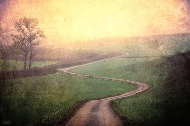 Photographie intitulée "Road to the Home" par Janek Sedlar, Œuvre d'art originale, Photographie numérique